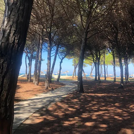 Seaside Laguna *