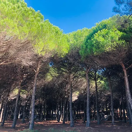 Διαμέρισμα Seaside Laguna
